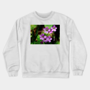Violet Voluntary Crewneck Sweatshirt
